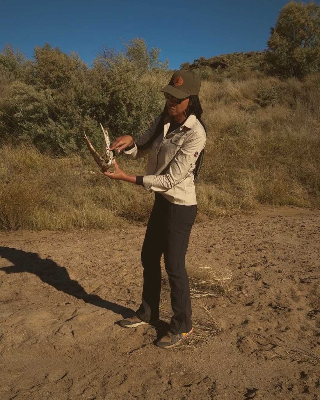 Shoeshoe examining a skull in the bush