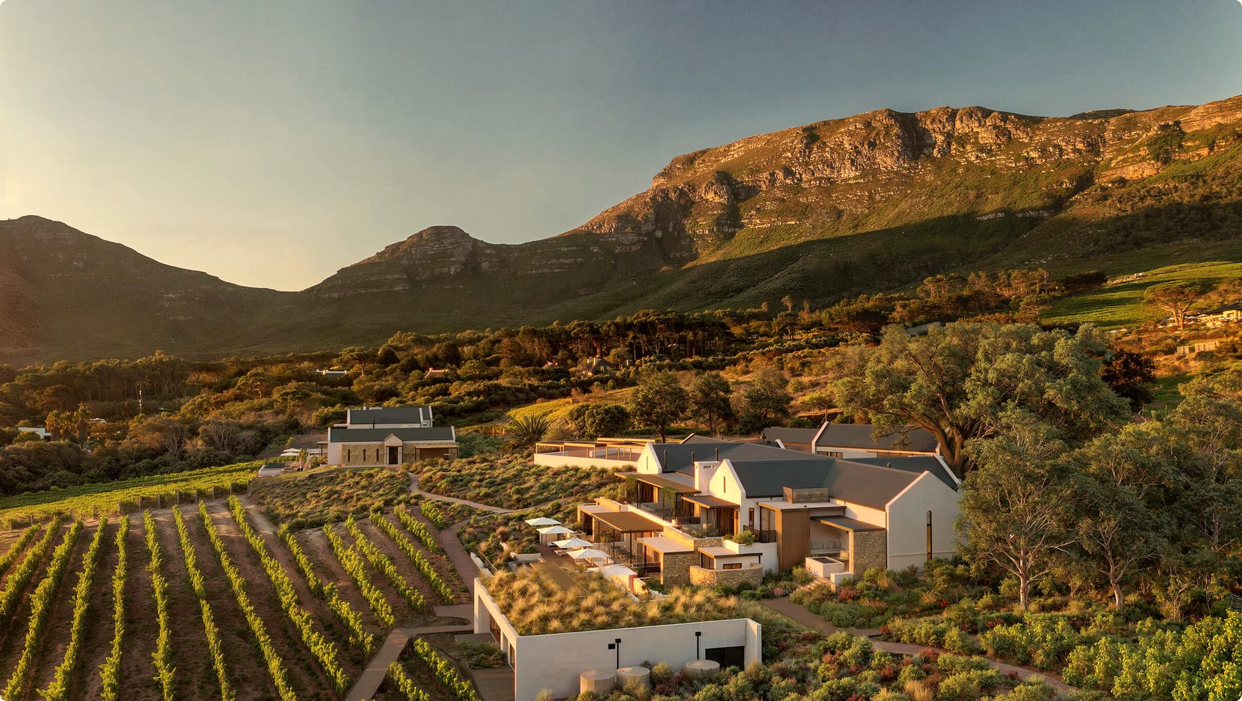 Private estate in the Cape Winelands