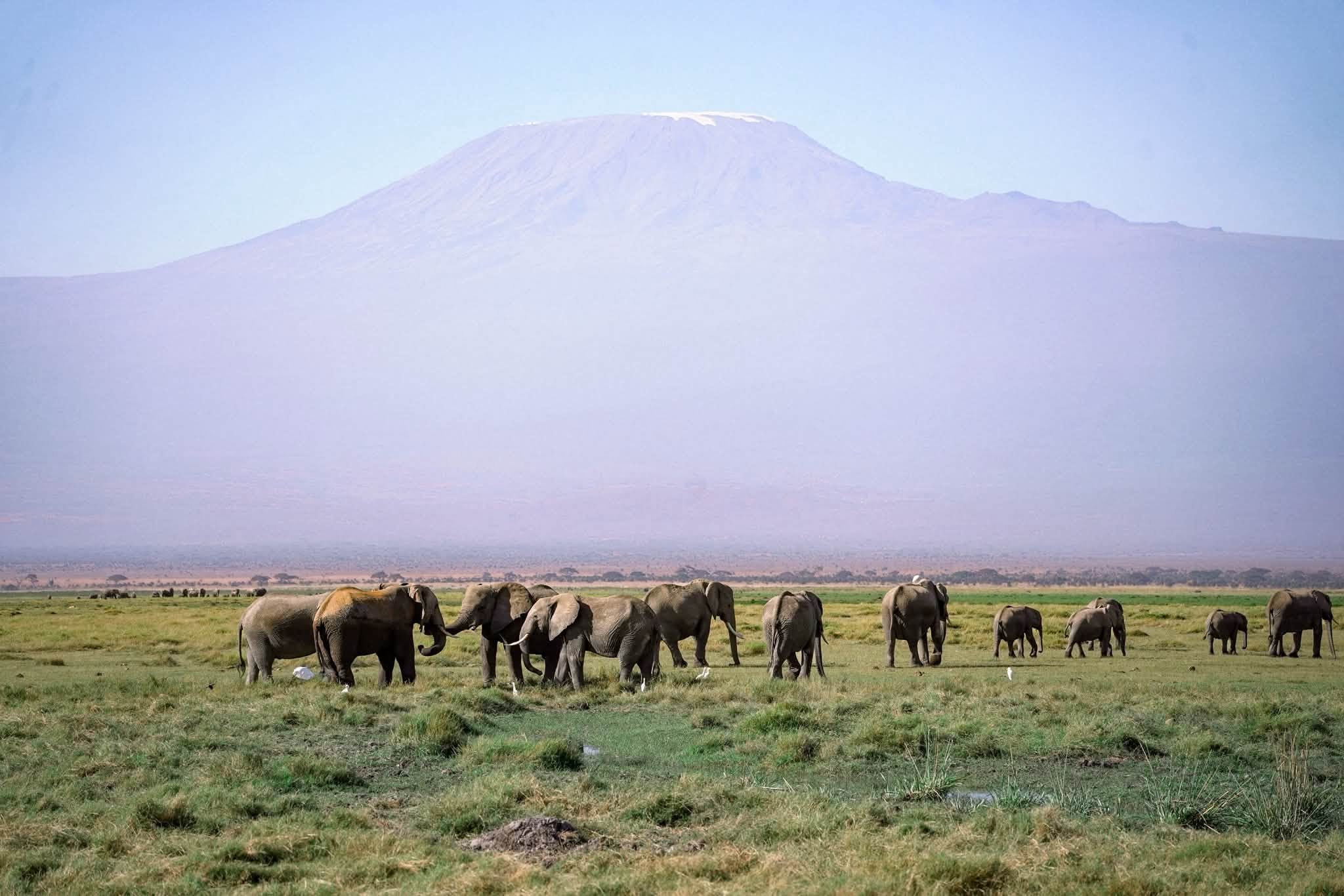 African wilderness and landscape