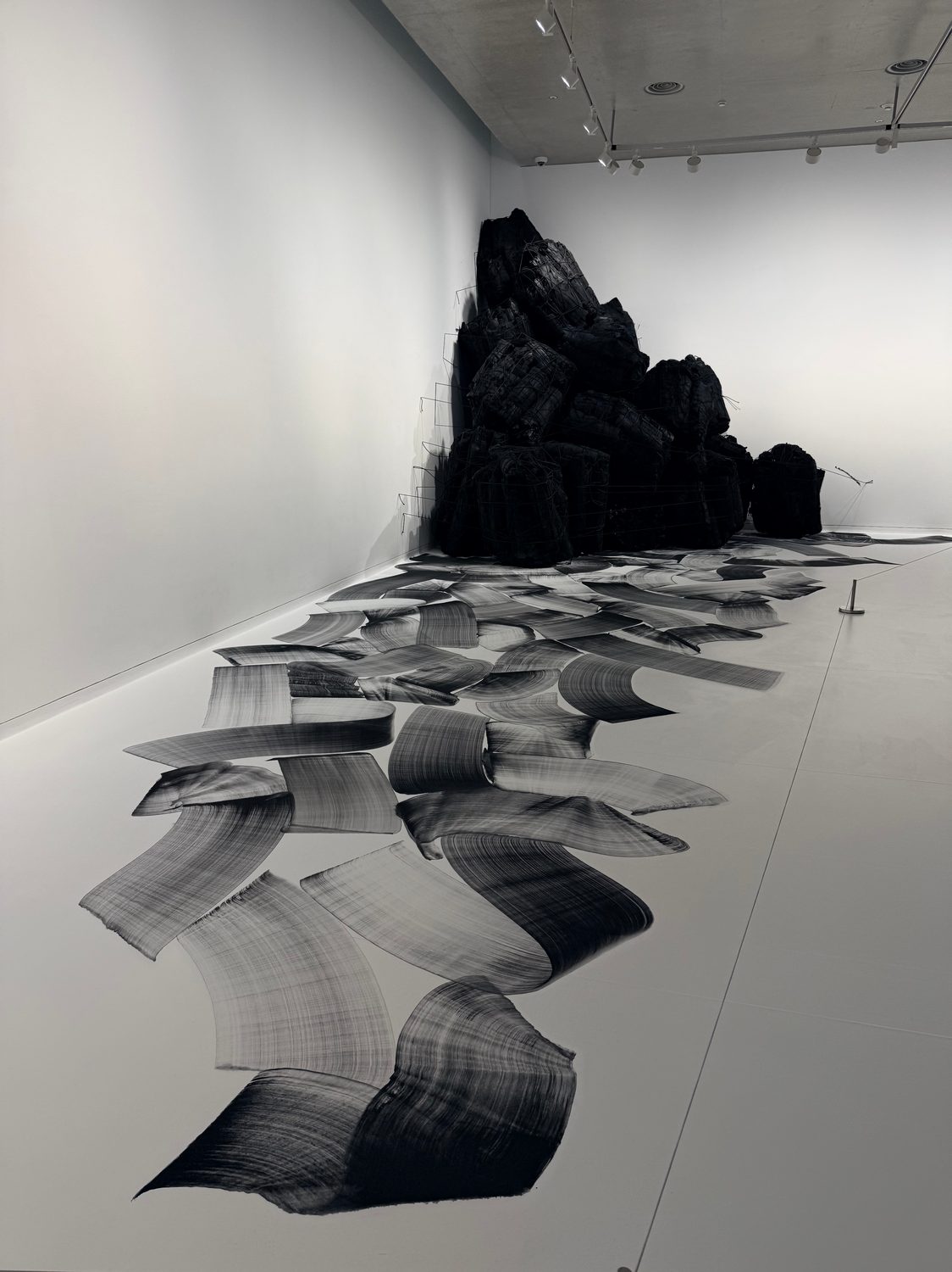 Ink unrolled across a gallery floor